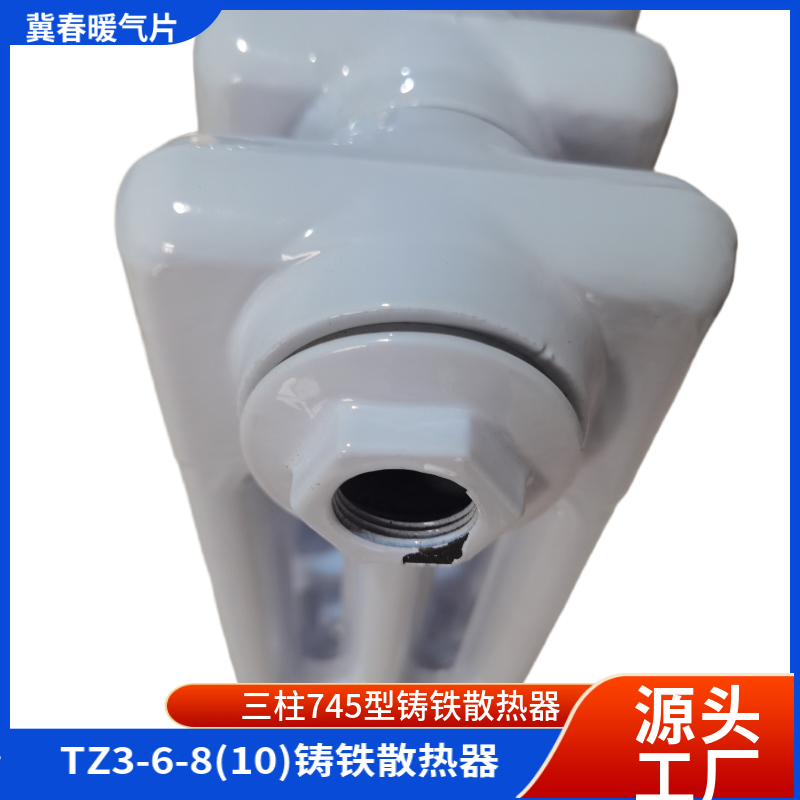 铸铁好色先生视频下载